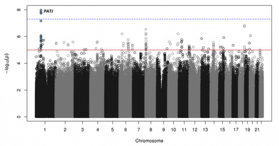 First gene linked to stroke recovery identified